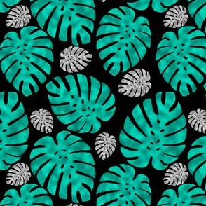 Silver Teal Monstera