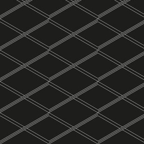  Double stripe grid black and white