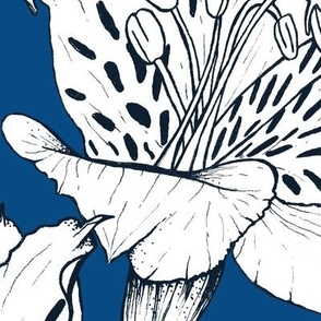 Alstroemeria Lily Large - Classic Blue