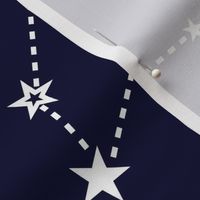 large - stars in the zodiac constellations in white on navy