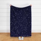 large - stars in the zodiac constellations in white on navy