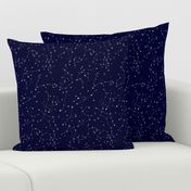 small - stars in the zodiac constellations in white on navy