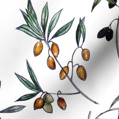 Watercolor Botanical Spring Olives