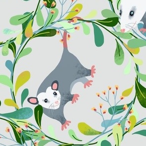 flora and fauna opossum circles