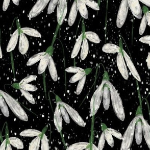 Dancing Sketchy Spring Snowdrops on Black Background - 10 inch