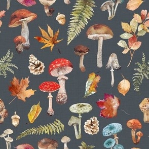 180 4K Mushroom Wallpapers  Background Images