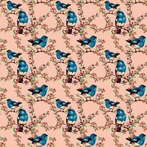 BLUEBIRDS (BLUSH)