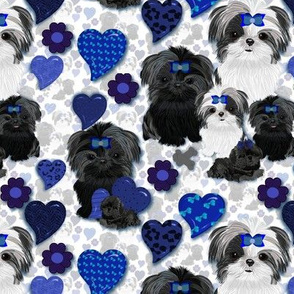 Shihtzu - Shihtzu abt. 2 1/2"" tall