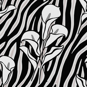 Zebra Calla Lilies