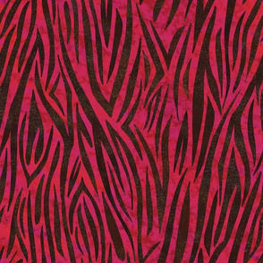 bright pink zebra stripes