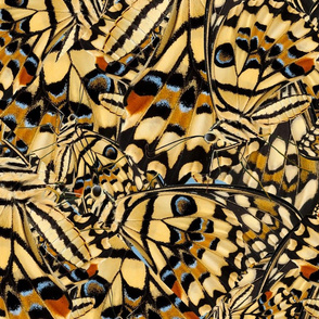 Butterfly Golden