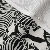 Zebra Stampede in Black + Bone
