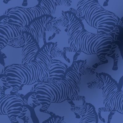Zebra Stampede in Classic Blue