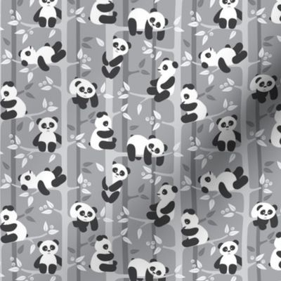 panda forest - gray - small