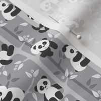 panda forest - gray - small