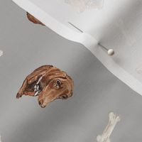 Hand Painted Dachshund Puppy With Bones Light Grey Medium