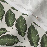 Madagascar Leaf Iveta Abolina