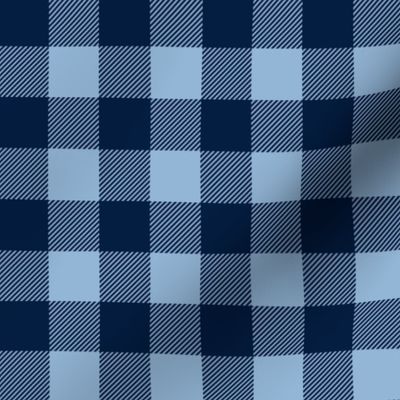 baby blue and navy plaid - C20BS