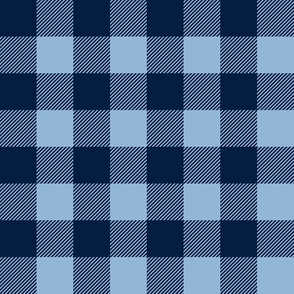 baby blue and navy plaid - C20BS