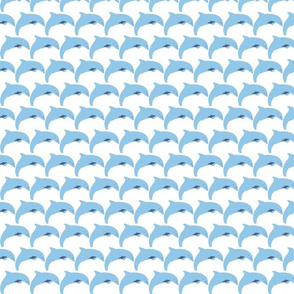 white Blue dolphin 