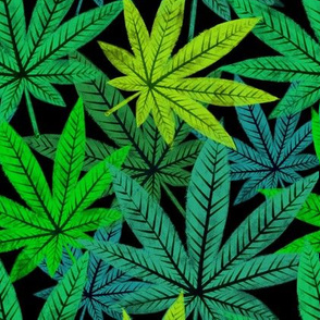 #4 Cannabis leaves