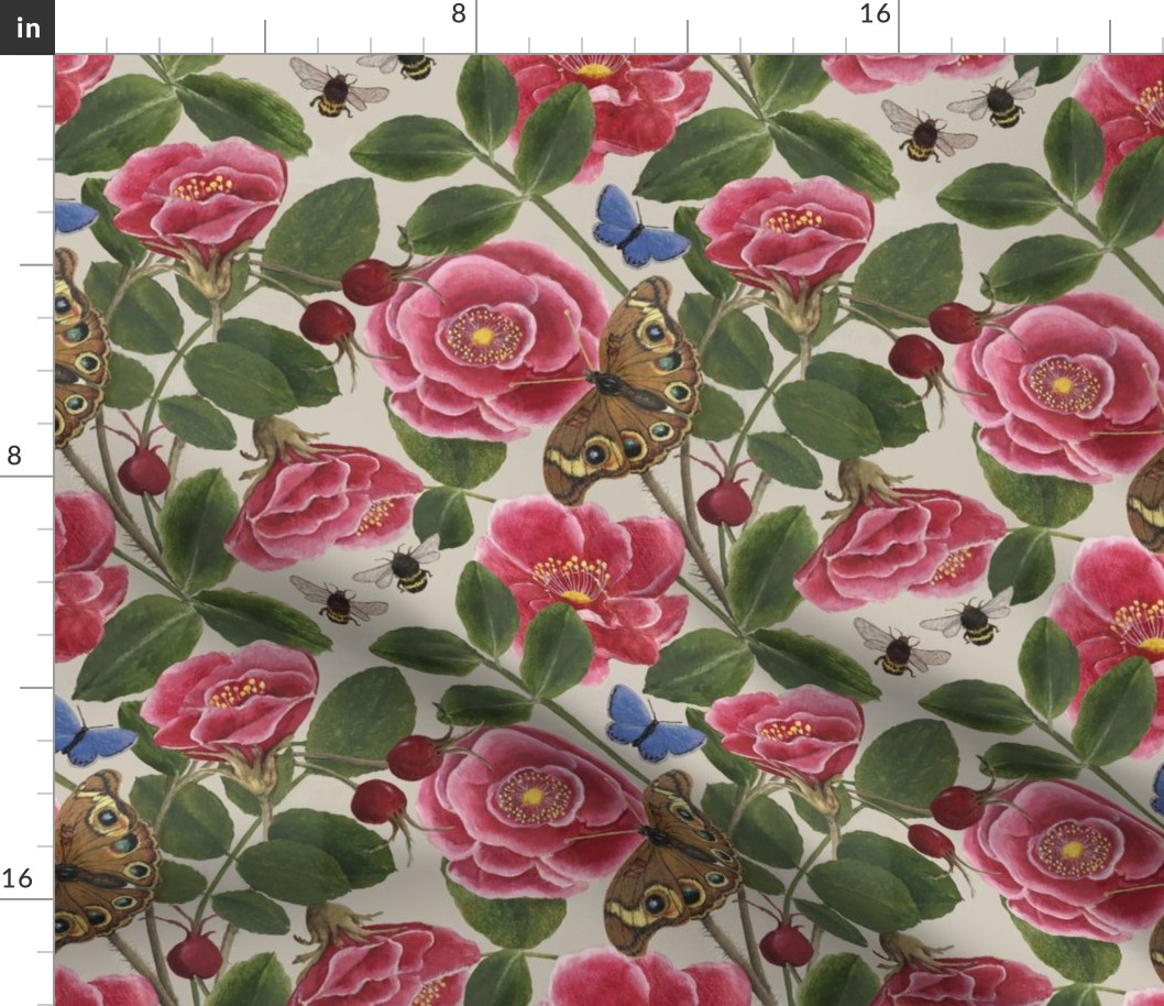 NANTUCKET ROSE HIPS beige 10