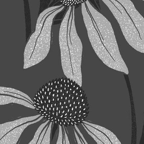 Echinacea in Grey, Very Large