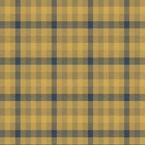 13 Experimental Plaid