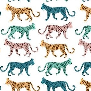  Leopards, Rainbow - Jungle Cat