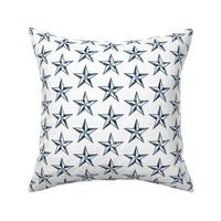 nautical stars - blue  - LAD20