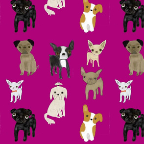 Pink dog wallpaper 