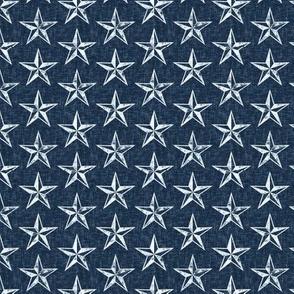 (small scale) nautical stars - navy - LAD20