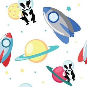 Badgers in Space