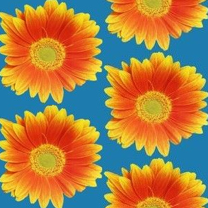 Sunflowers on Sky Blue
