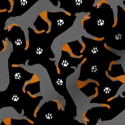 Trotting Beaucerons and paw prints - black