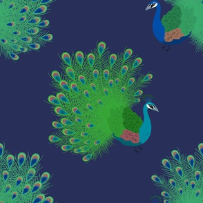 Prancing Peacocks (navy background)