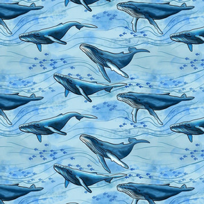 Blue Whales (large scale)