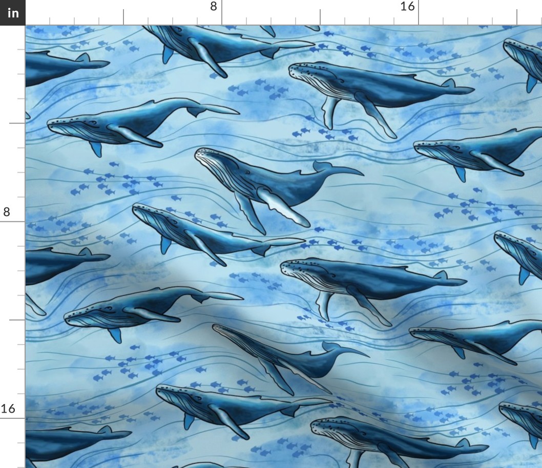 Blue Whales (large scale)