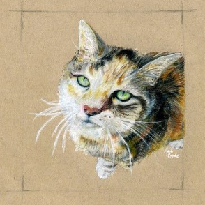 Cat Suzie crop1a