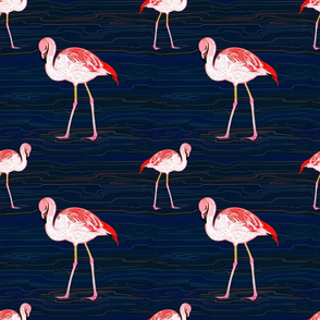 Big Flamingo