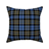 Campbell of Breadalbane 1793 tartan, 8" faded