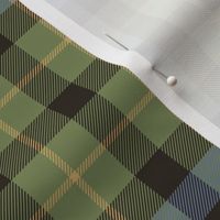 Campbell of Breadalbane 1819 tartan / Wilson's #64, 6" faded