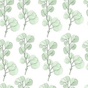 Pressed Eucalyptus|Mint on White|Renee Davis