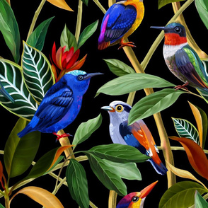 Exotic birds in the rainforest