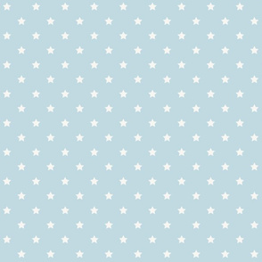 Baby Blue and White Star 2