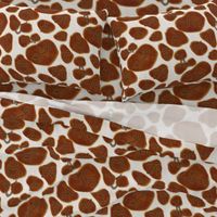 Branded Brown and White Cowhide