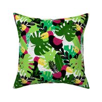 Tropical pink birds monstera green leafs