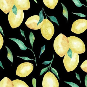 Lemon Drop|Large Fruit on Black |Renee Davis