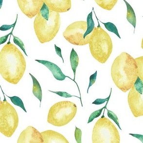 Lemon Drop|Large Fruit on White|Renee Davis