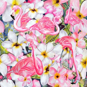 Flamingos and Frangipani 